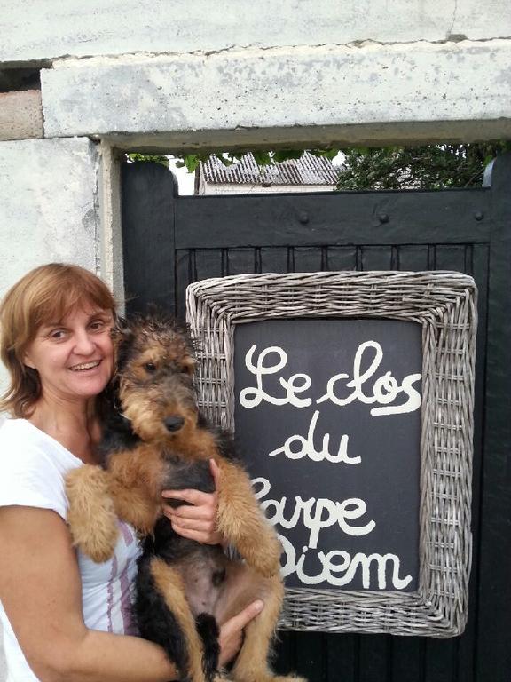 Le Clos Du Carpe Diem Cambligneul Dış mekan fotoğraf